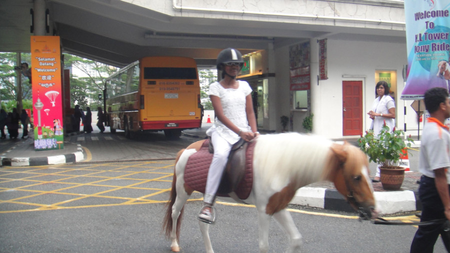 6 Pony Ride